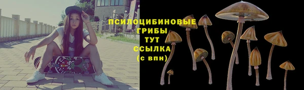 прущие крисы Волосово