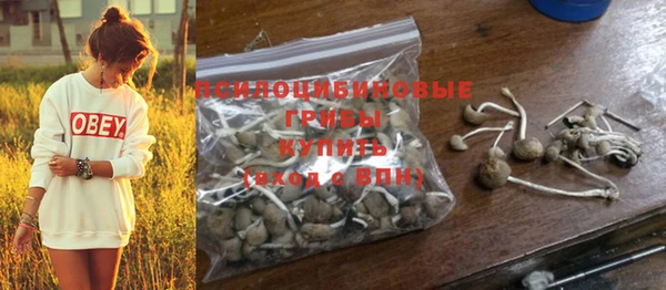 прущая мука Горнозаводск