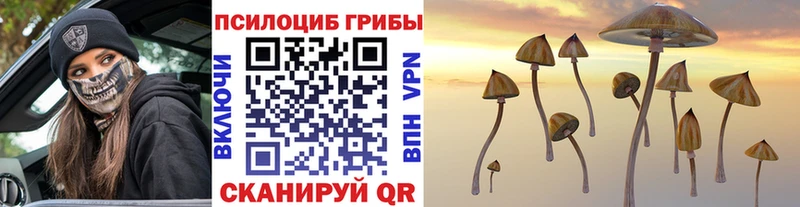 Псилоцибиновые грибы Cubensis  мега ссылка  Дивногорск 